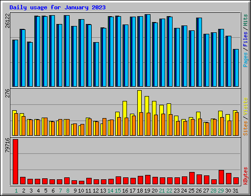 Daily usage for January 2023