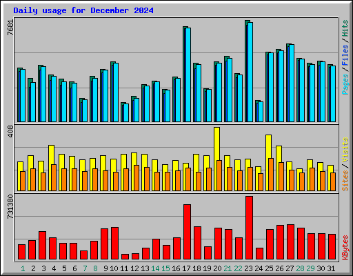 Daily usage for December 2024