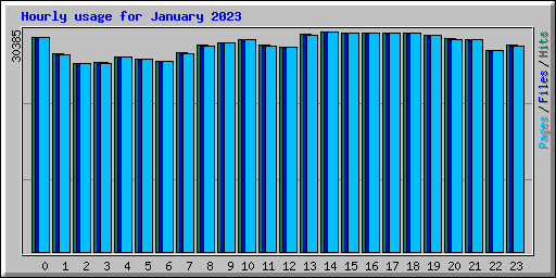 Hourly usage for January 2023