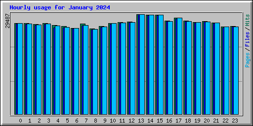 Hourly usage for January 2024