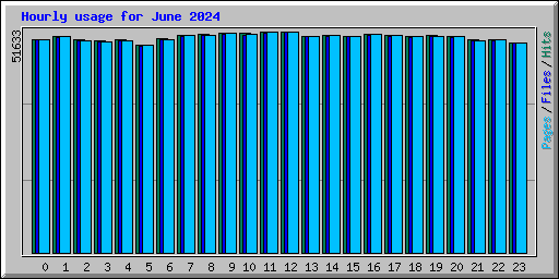 Hourly usage for June 2024