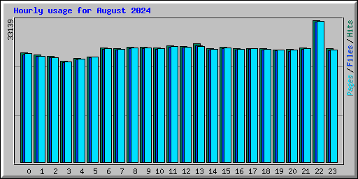 Hourly usage for August 2024