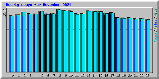 Hourly usage for November 2024