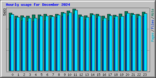 Hourly usage for December 2024