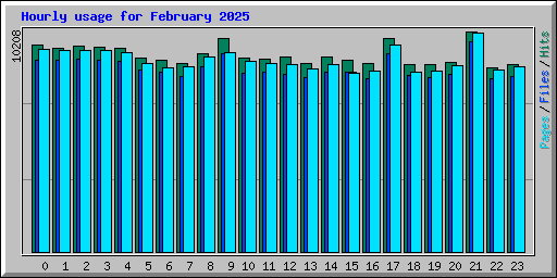 Hourly usage for February 2025