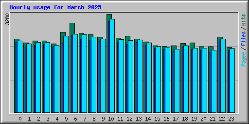 Hourly usage for March 2025